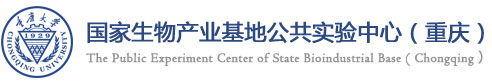 澳门沙金官方网站